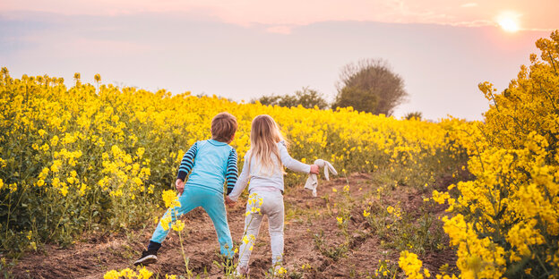 Zwei Kinder laufen durch ein gelb blühendes Feld