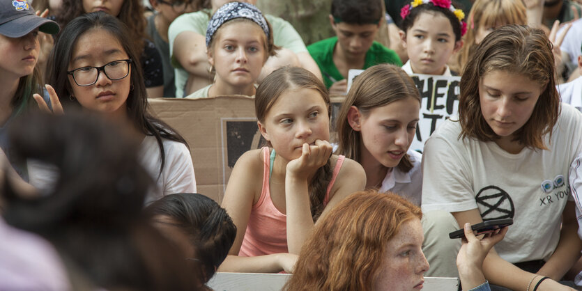 Greta Thunberg und viele andere