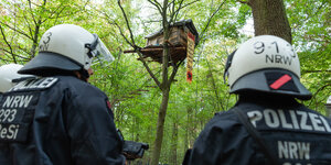 Zwei Polizisten beobachten ein Baumhaus im Hambacher Forst