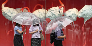 Mehrere Personen laufen mit durchsichtigen Plastikregenschirmen vor einer Wand auf der Flamingos abgebildet sind
