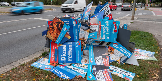 AfD Wahlplakate übereinander gestappelt