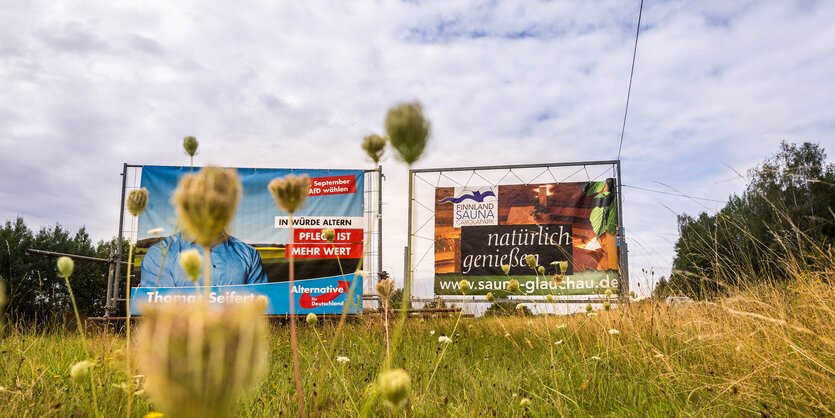 Wiese mit Parteiwerbung in Sachsen