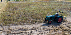 Ein Traktor ernet ein Kartoffelfeld
