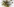 Viele Eishockeyspieler tummeln sich um ein Tor