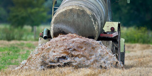 Landwirtschaftsfahrzeug bringt Gülle aus