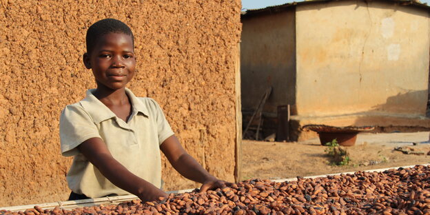 Mädchen wühlt mit ihren Händen in trocknenden Kakaobohnen