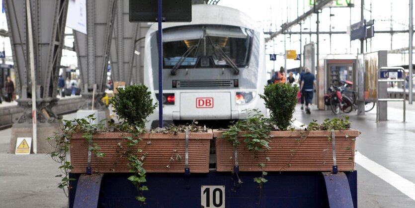 Regionalzug in Frankfurt