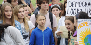 Greta Thunberg bei Schulstreik vor dem Weißen Haus