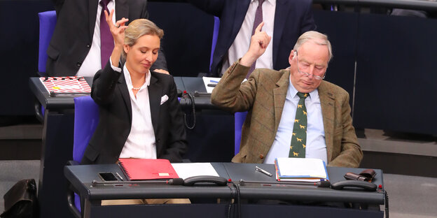 Alice Weidel und Alexander Gauland im Plenum des Bundestages: beide mit erhobener Hand während einer Abstimmung