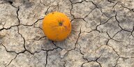 Eine Orange liegt während einer Dürre auf vertrockneter Erde