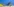 Eine Biene sitzt auf einem blau lakierten Holzbrett