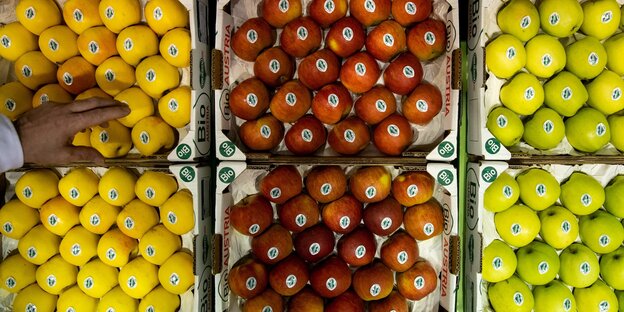 Verschiedene Apfelsorten in Kisten in einem Bio-Supermarkt