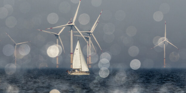 Offshore-Windräder, davor ein Segelboot