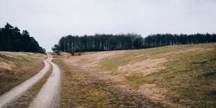 Ein Feldweg führt ins Nichts