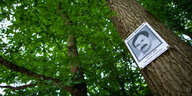 Even Simseks Bild auf einer Gedenktafel im Wald