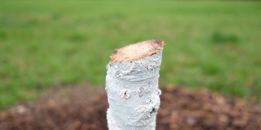 Der Stumpf einer deutschen Eiche im Schwanenteichpark. Der Baum war Teil eines Gedenkortes für Enver Simsek,