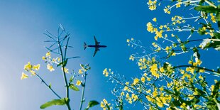 Ein Flugzeug am blauen Himmel.