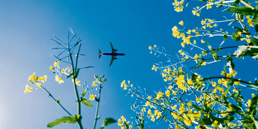 Ein Flugzeug am blauen Himmel.