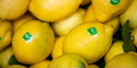 Zitronen mit Biolabel
