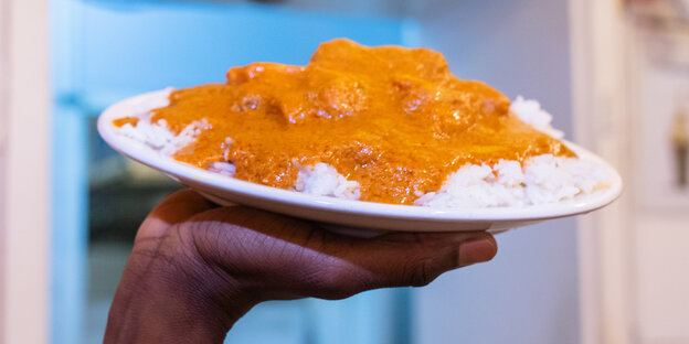 Im Vordergrund sieht man eine Hand mit einem Teller Reis und orangener Soße. Im Hintergrund Abbildungen von Gerichten.