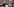 Zwei Männer halten ein Bild der verstorbenen Journalistin
