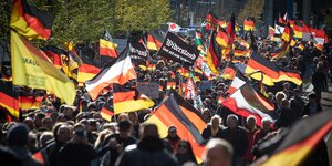 Eine Demonstration mit vielen Deutschlandfahnen