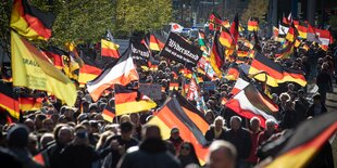 Eine Demonstration mit vielen Deutschlandfahnen