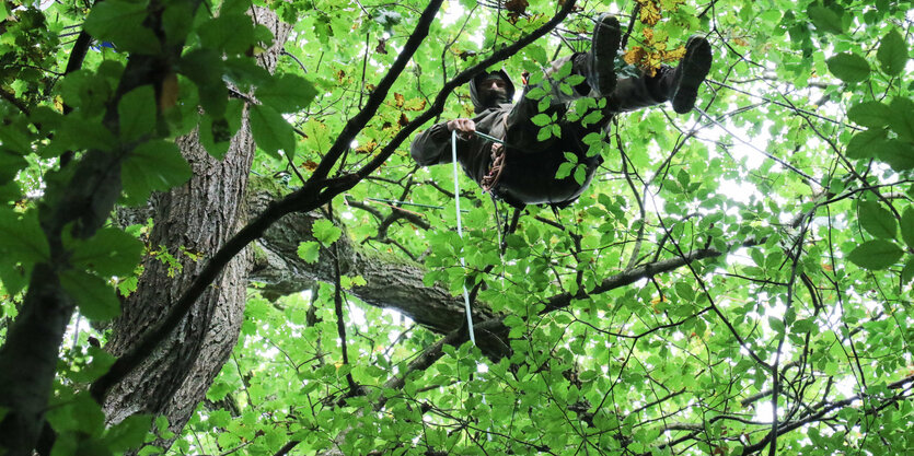 Ein Mensch hängt in einem Baum. Er ist vermummt. Der Baum grünt.