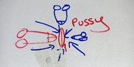 Viele Penisse und eine Vulva: Graffiti in einer Jungenumkleide einer Schulturnhalle