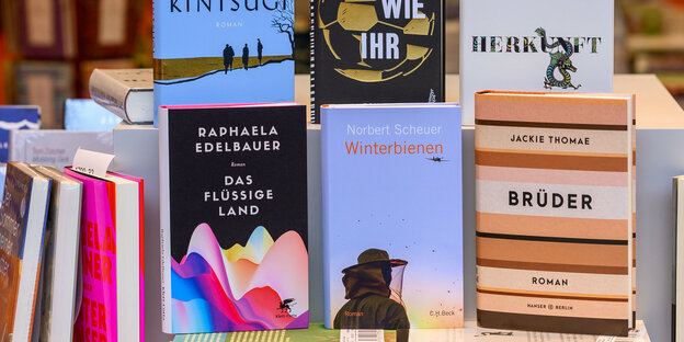 Eng nebeneinander gerückt sind in der Buchauslage die Romane "Das flüssige Land", "Winterbienen" und "Brüder", weitere nominierte Titel dahinter.