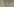 Blick von oben auf Erntemaschinen, die Reis ernten
