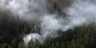 Rauschwaden ziehen über einen Wald hinweg