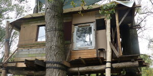 Ein Baumhaus mit Glasfenster, festgebunden an einen dicken Baumstamm.