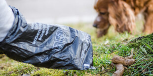 Ein Mann greift auf einer Wiese mit einem Hundekotbeutel nach einem Hundehaufen