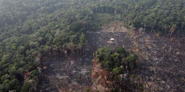 Aus der Vogelperspektive aufgenommen: ein abgeholztes Waldgebiet im Amazonas in Brasilien
