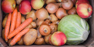 In einer Holzkiste liegt Gemüse und Obst, wie Möhren, Kartoffeln, Zwiebeln, Äpfeln und ein Weißkohl.