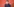 Kevin Kühnert im Brustbild vor rotem Hintergrund