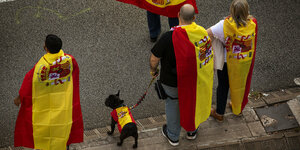 Unterstützer der Einheit mit Hund, alle sind in spanische Fahnen gewickelt