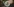 homöopathie_unsplash_27102019