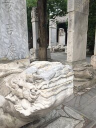 Mehrere Statuen von Schildkröten mit Drachenköpfen stehen gestaffelt hintereinander Mehrere Statuen von Schildkröten mit Drachenköpfen stehen gestaffelt hintereinander