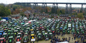 Demonstrierende Landwirte stehen vor ihren Traktoren bei einer Kundgebung in Rendsburg.