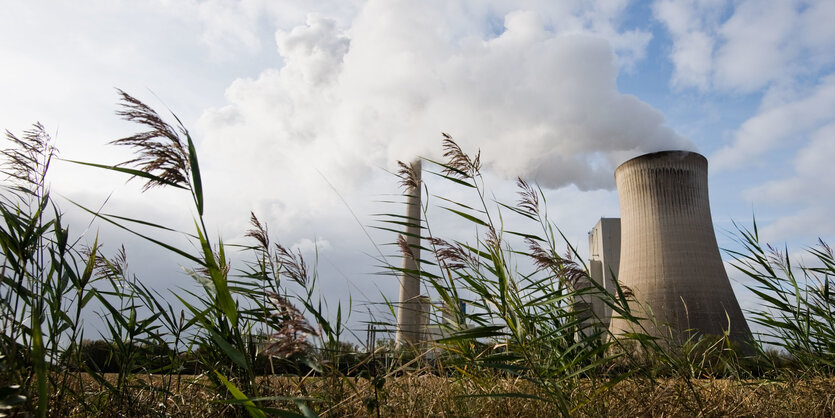 Windzersaustes Gras vor Kraftwerk