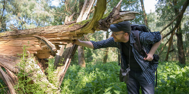 Ein Mann mit Kamera um den Hals untersucht einen gesplittert abgeknickten Baum