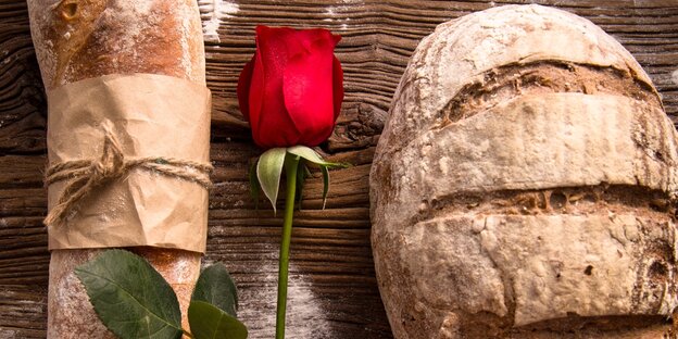 Eine rote Rose liegt neben einem Laib Brot auf einem Holztisch