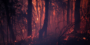 Ein Buschfeuer brennt nahe einer Wohnsiedlung. Die heißen, windigen Wetterbedingungen fachen die Buschfeuer im Bundesstaat New South Wales immer weiter an.