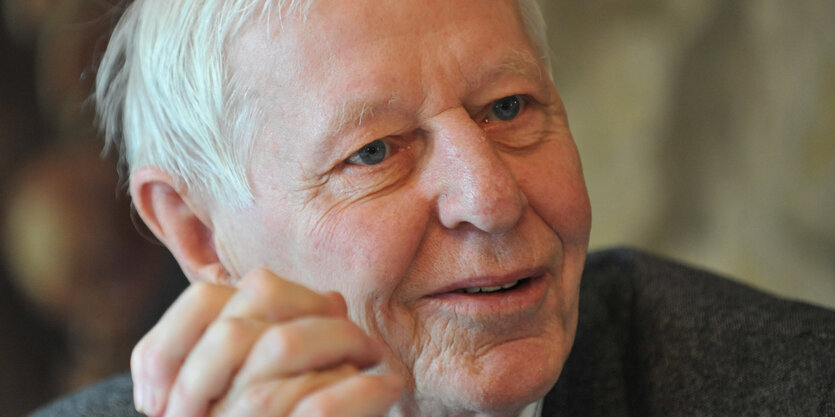 Porträtfoto von Hans Magnus Enzensberger