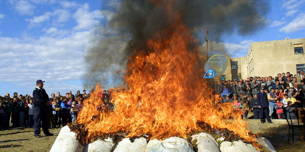 Ein brennender Haufen Säcke, gefüllt mit Cannabis-Pflanzen, steht auf einer Wiese. Menschen stehen im Kreis um das Feuer