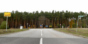 Elon Musk in Brandenburg: Eine Zufahrtsstraße auf dem Land läuft auf einen Wald zu