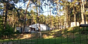 Kinderheim in Storkow-Wolfswinkel: Mehrere Bungalows in einem Waldstück