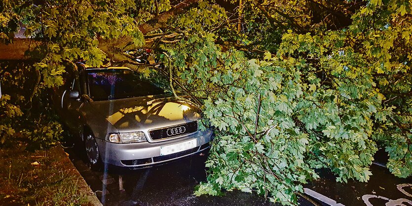 Ein Baum, der auf ein Auto gefallen ist.